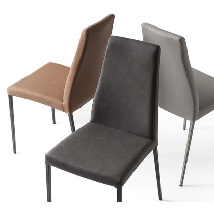 Aida Dining Chair By Calligaris