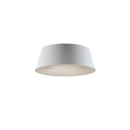 Brenner Ceiling Light