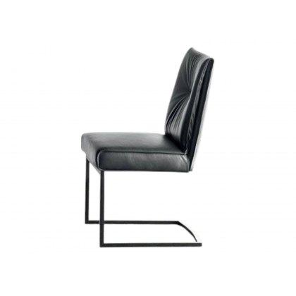 Romy Chair With Sled Base By Calligaris