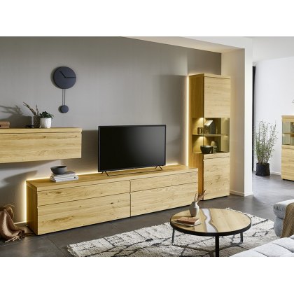 Venjakob V Plus 3000 TV Unit Venjakob V Plus 3000 TV Unit