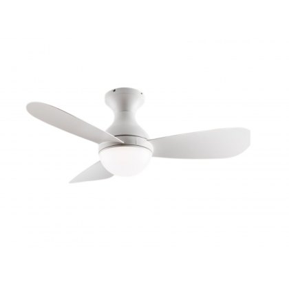 Vivaan Ceiling Fan Light