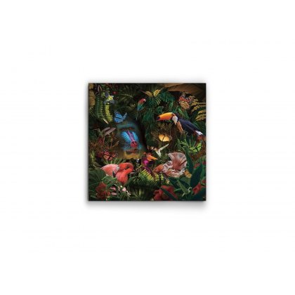 Honduras Wall Art Honduras Wall Art