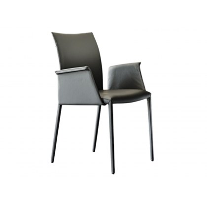 Norma Low Back With Arms Chair By Cattelan Italia