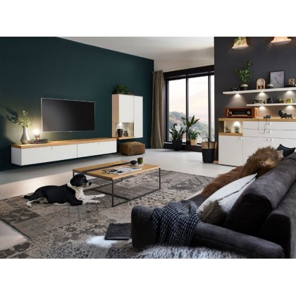 Venjakob Plan X2 Wall Mounted TV Unit Venjakob Plan X2 Wall Mounted TV Unit