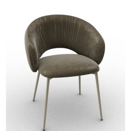 Anime Dining Chair By Calligaris