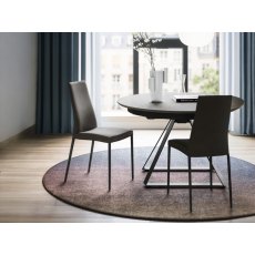 Aida Dining Chair By Calligaris Aida Dining Chair By Calligaris