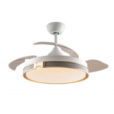 Hunter Ceiling Fan Light