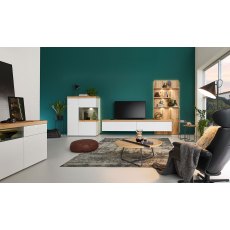 Venjakob Plan X2 Wall Mounted TV Unit