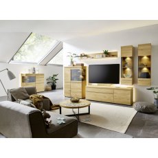 Venjakob V Plus 3000 5698 TV Unit Venjakob V Plus 3000 5698 TV Unit