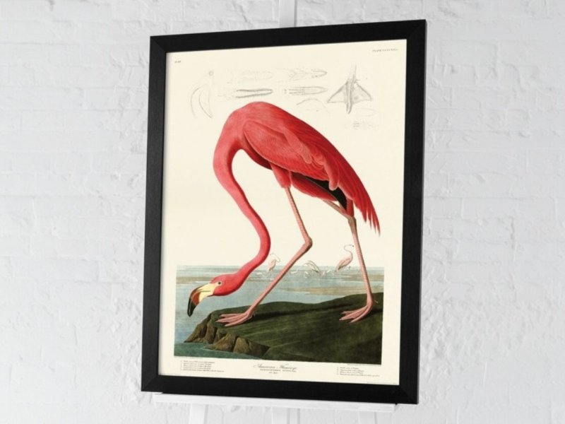 Beadle Crome Interiors American Flamingo