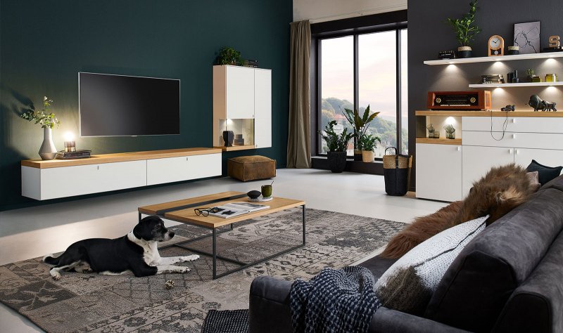 Venjakob Venjakob Plan X2 Wall Mounted TV Unit