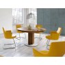 Venjakob Venjakob Marta Dining Armchair