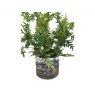 Beadle Crome Interiors Resin Planter