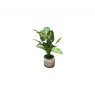 Beadle Crome Interiors Resin Planter