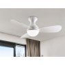 Beadle Crome Interiors Vivaan Ceiling Fan Light