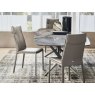 Cattelan Italia Isabel Dining Chair Quick Ship in Castoro Soft Leather By Cattelan Italia